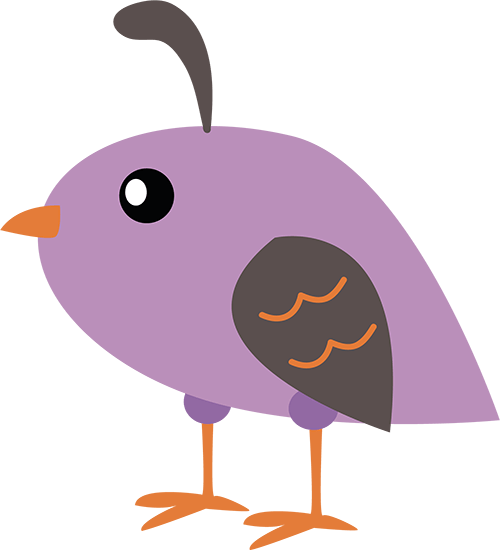 bird
